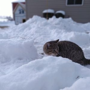 Meet your Posher, Emilia